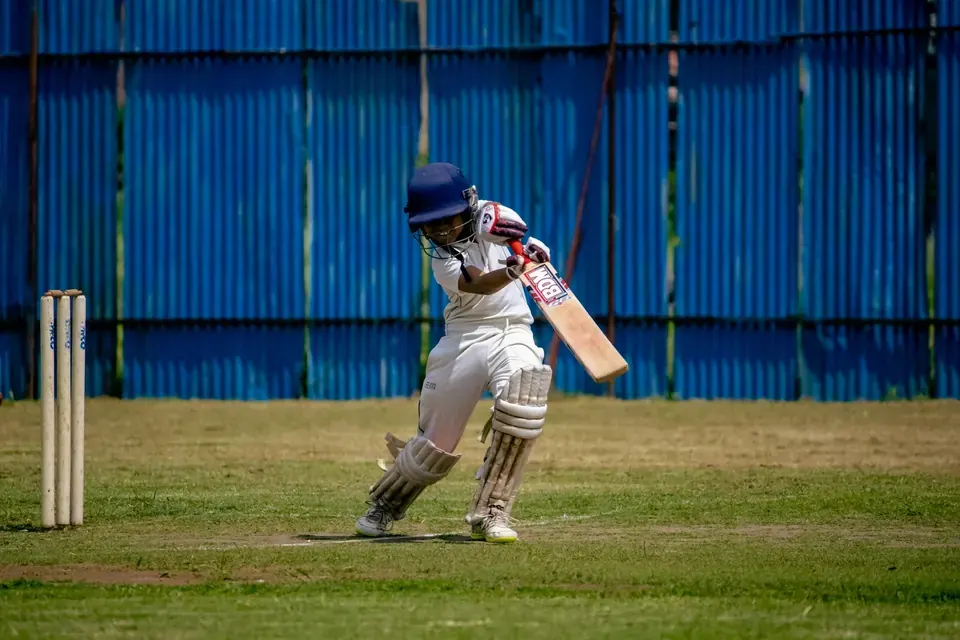 1. Batsman Dismissals (How They Got Out)
